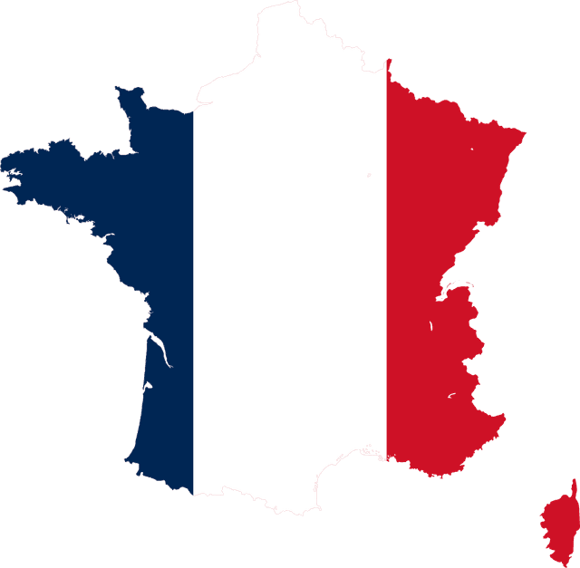 France flag/map